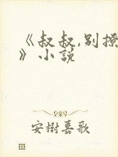 《叔叔,别撩我》小说