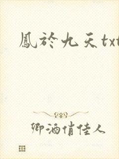 凤于九天txt