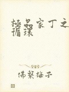 极品家丁之因果循环