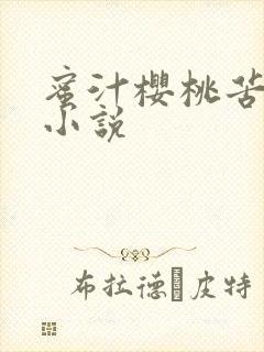 蜜汁樱桃苦咖啡小说