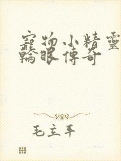 宠物小精灵之写轮眼传奇
