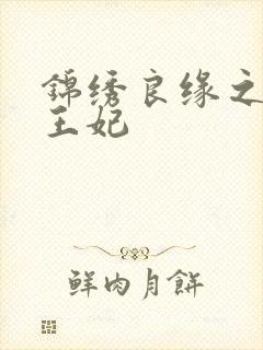 锦绣良缘之北地王妃