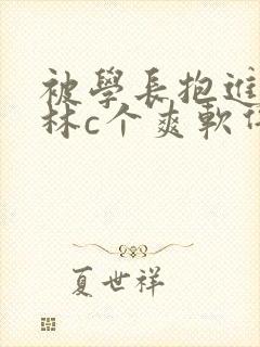 被学长抱进小树林c个爽软件