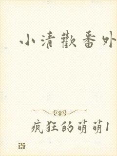 小清欢番外