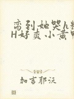 脔到她哭h粗话H好爽小黄鸭视频