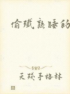 偷歼熟睡的小妍