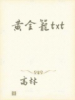 黄金笼txt