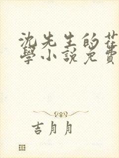 沈先生的花式教学小说免费