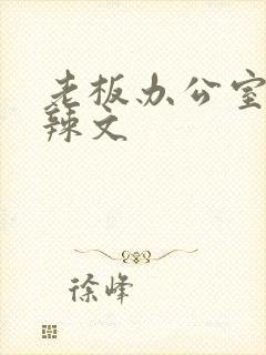 老板办公室系列辣文