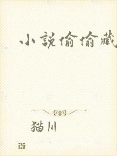 小说偷偷藏不住