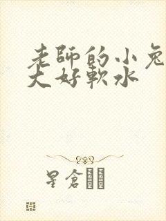 老师的小兔子好大好软水