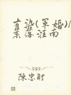 有染(军婚)/叶落淮南