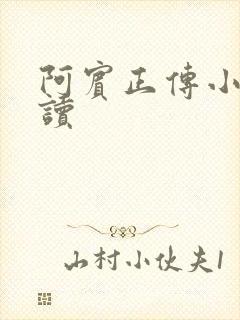 阿宾正传小说在读