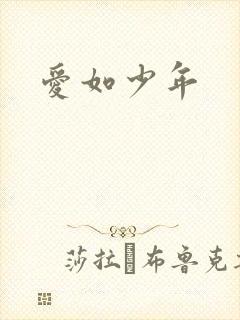 爱如少年