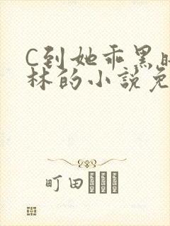 C到她乖黑暗森林的小说免费