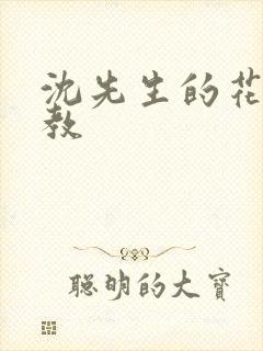 沈先生的花式调教