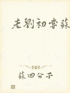 老刘初尝苏荷媳