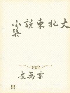 小说东北大炕全集