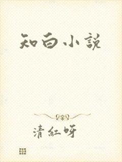 知白小说