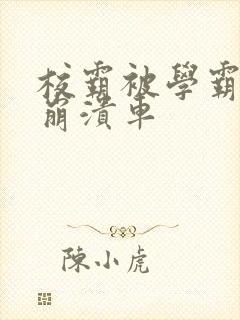 校霸被学霸玩到崩溃车