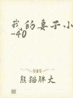 我的妻子小谨1-40