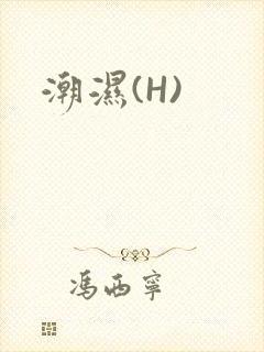 潮湿(H)