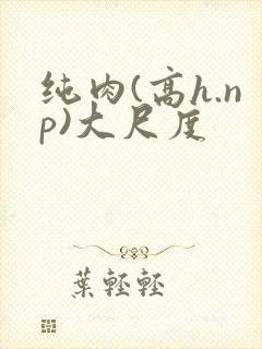 纯肉(高h.np)大尺度