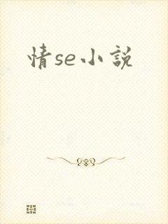 情se小说