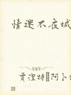 情迷不夜城
