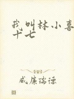 我叫林小喜今年十七