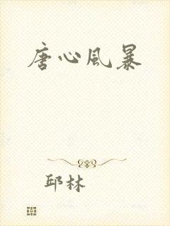 唐心风暴