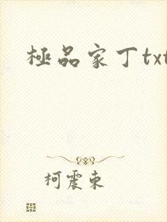 极品家丁txt