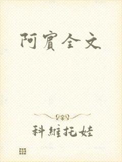 阿宾全文