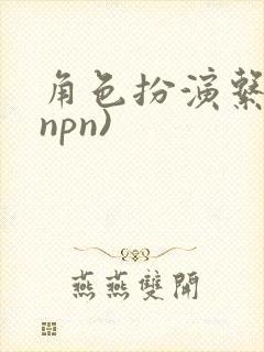 角色扮演系统(npn)