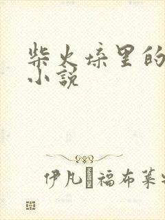 柴火垛里的疯狂小说