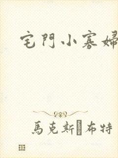 宅门小寡妇