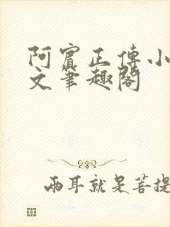 阿宾正传小说全文笔趣阁