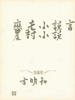 恋老小说言情网农村小说