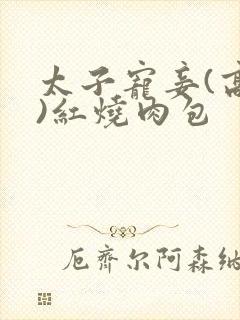 太子宠妾(高肉)红烧肉包