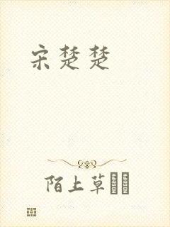宋楚楚