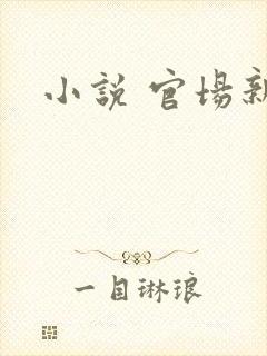 小说 官场新贵