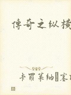 传奇之纵横玛法