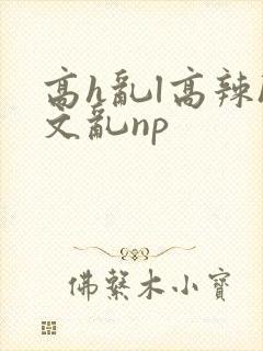 高h乱l高辣h文乱np