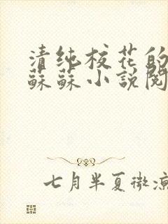 清纯校花的日常苏苏小说阅读全文