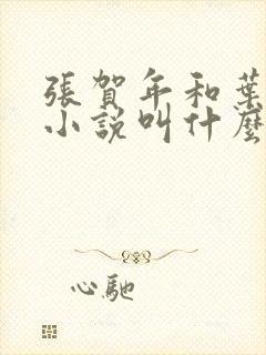 张贺年和叶繁姿小说叫什么名字