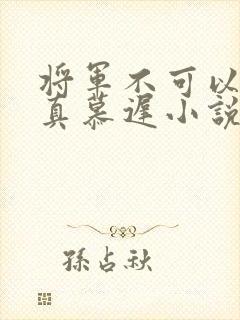 将军不可以魏云真慕迟小说笔趣阁