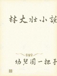 林大壮小说阅读