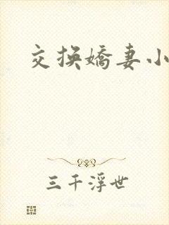 交换娇妻小说