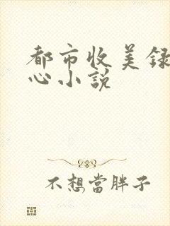 都市收美录宁素心小说