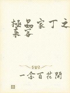 极品家丁之远方来客